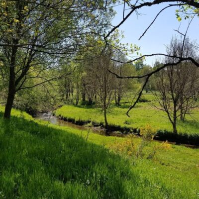 99131961_10158410146015987_5514442230846193664_o