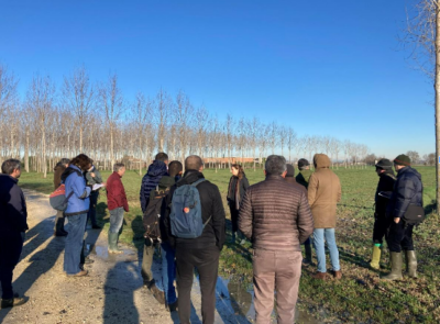 Italy - MSc training