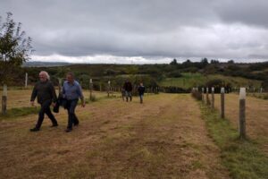 Irish Agroforestry Forum Irish Agroforestry Forum