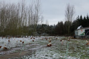 J. Günzel - Hof Hartmann DSC00928 J. Günzel - Hof Hartmann DSC00928