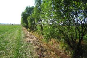 R.Huebner-Gewaesserrand R.Huebner-Gewaesserrand