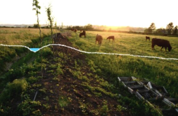 Screenshot 2025-04-03 at 10.47.52