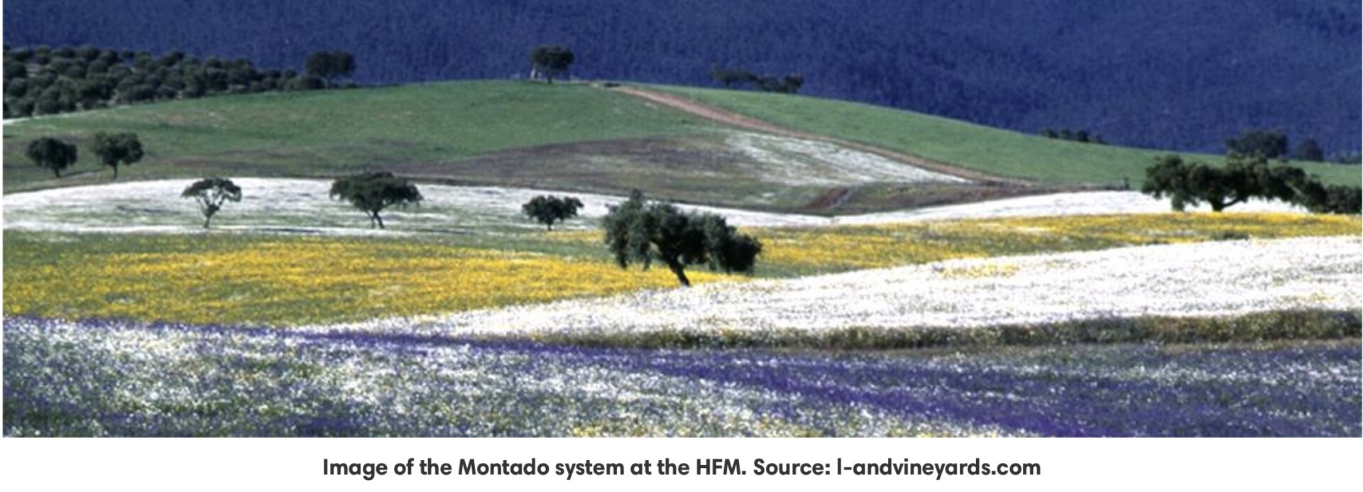 Screenshot 2025-04-03 at 10.54.00