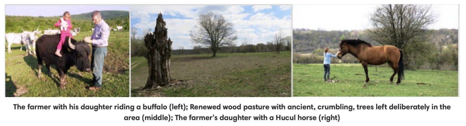 Screenshot 2025-04-03 at 11.10.25