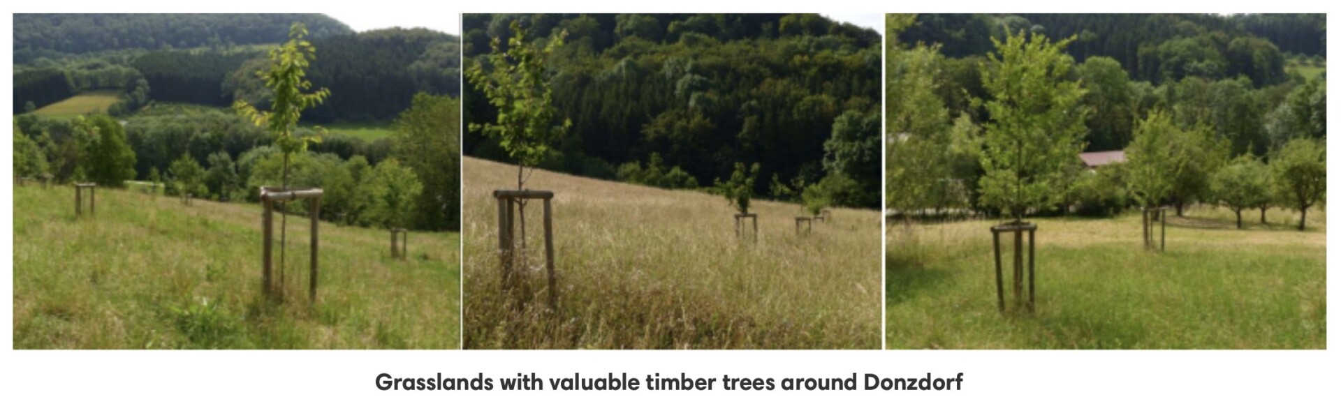 Screenshot 2025-04-03 at 11.15.21