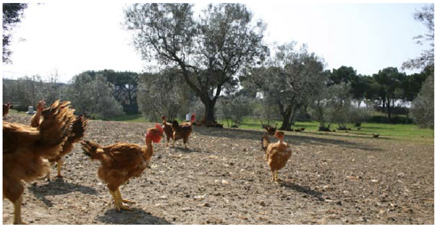 Screenshot 2025-04-03 at 11.21.16