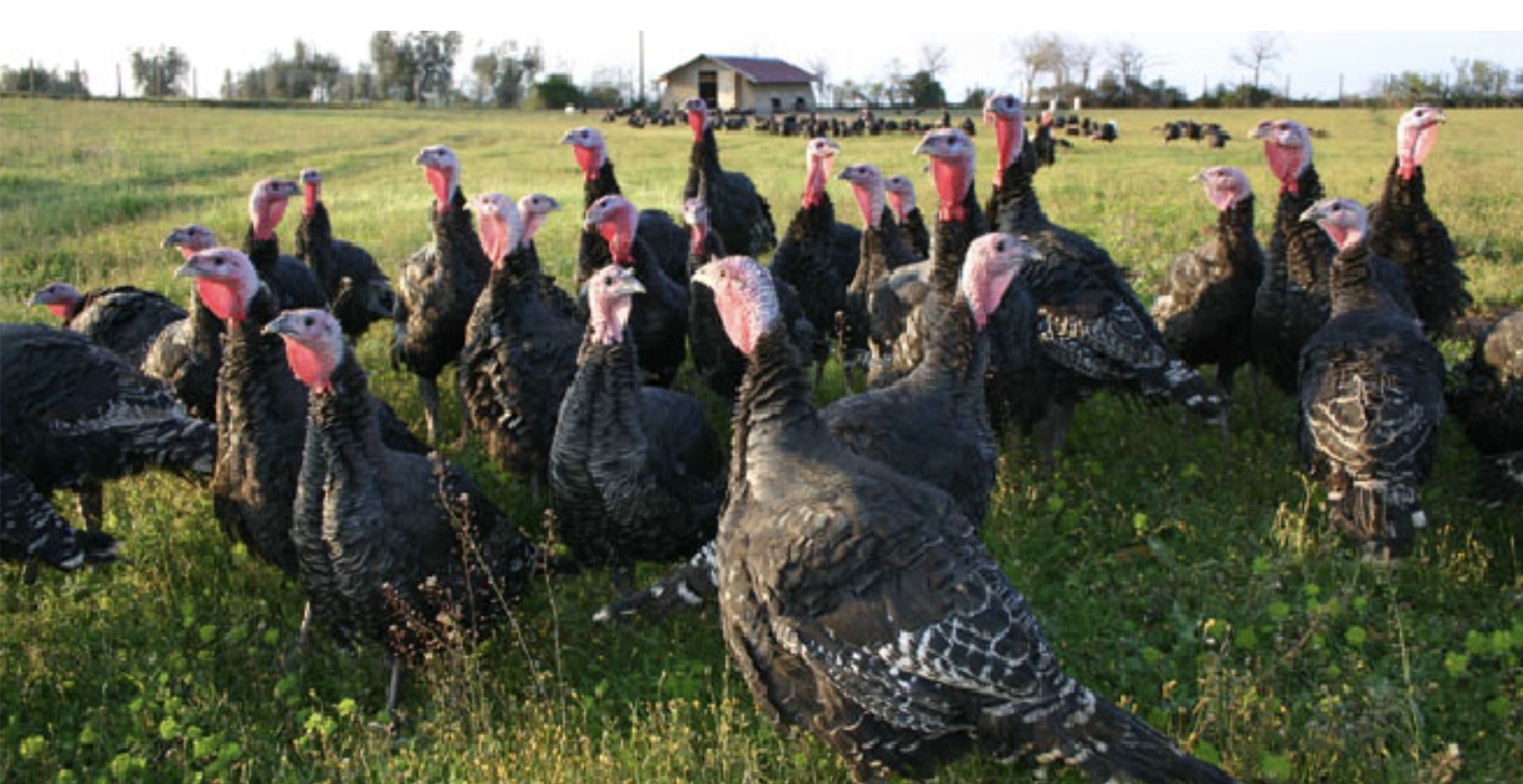 Screenshot 2025-04-03 at 11.21.31