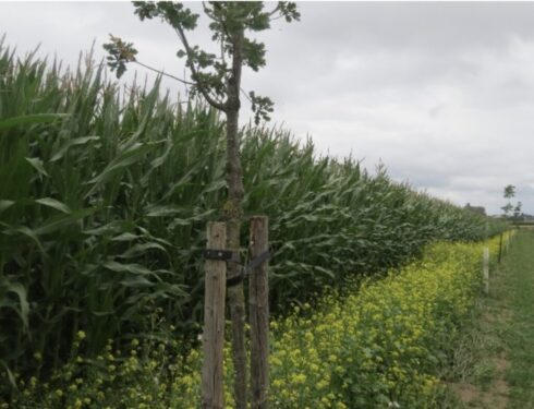 Screenshot 2025-04-03 at 11.27.05