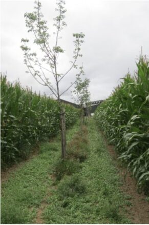 Screenshot 2025-04-03 at 11.27.39