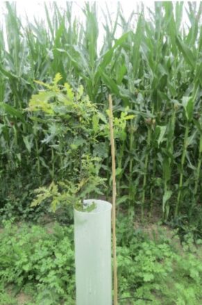 Screenshot 2025-04-03 at 11.28.06