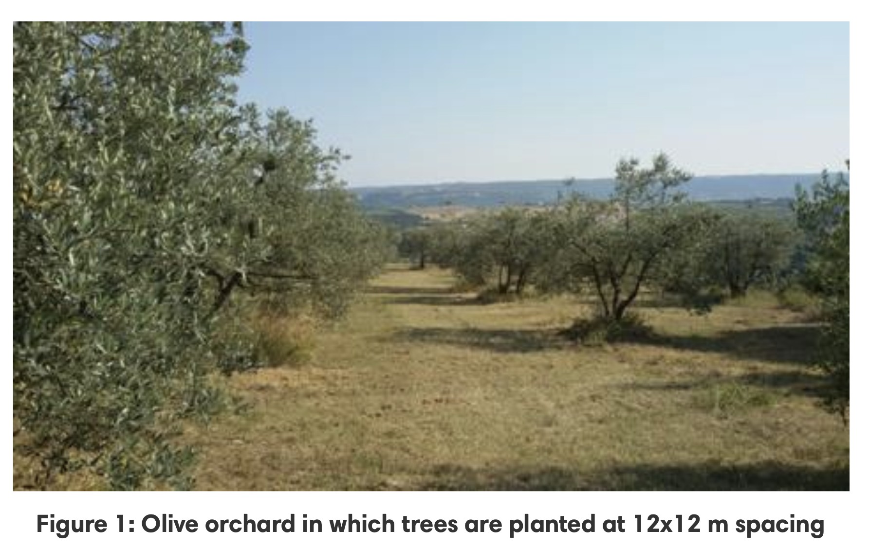 Screenshot 2025-04-03 at 11.34.47