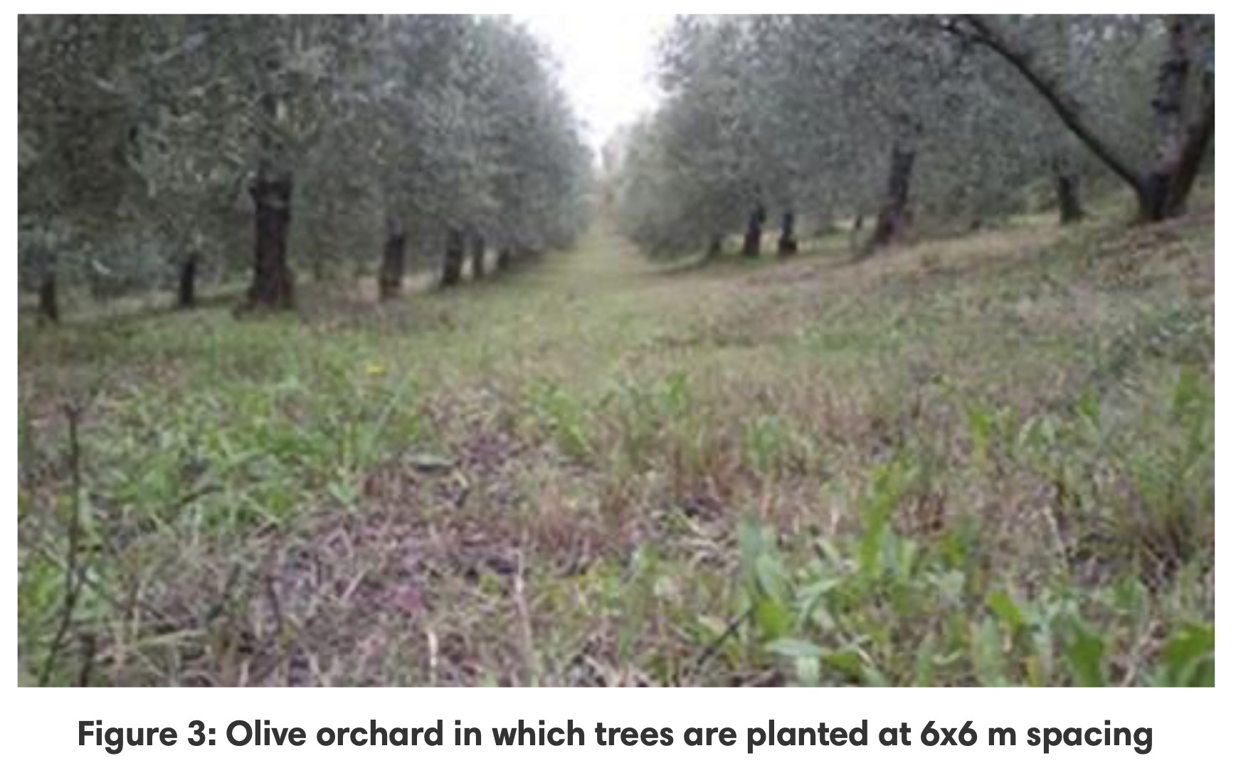 Screenshot 2025-04-03 at 11.38.05