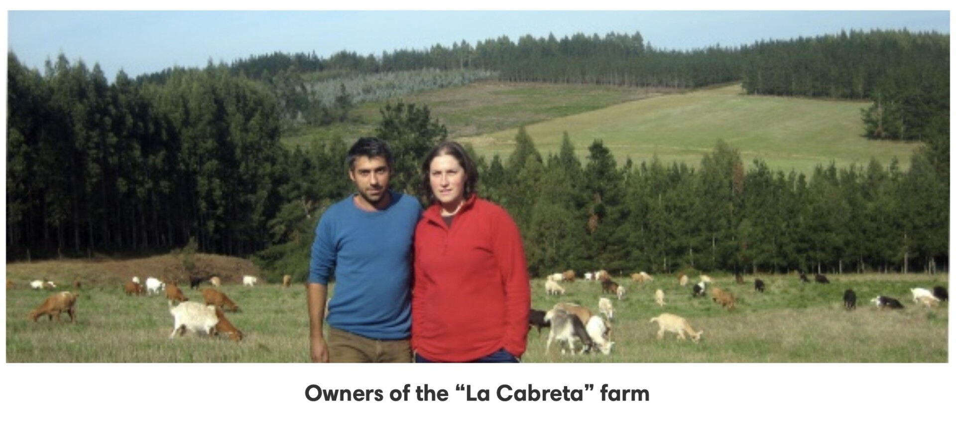 Screenshot 2025-04-03 at 11.49.07