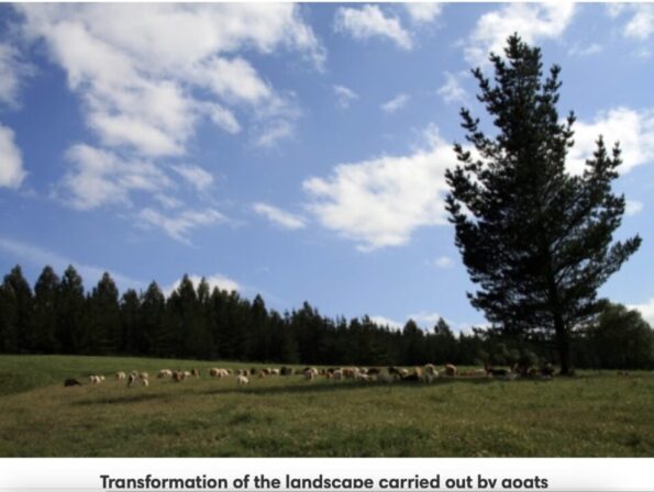 Screenshot 2025-04-03 at 11.49.52