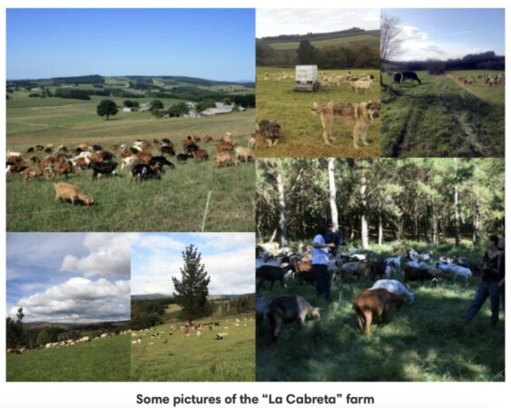 Screenshot 2025-04-03 at 11.50.14