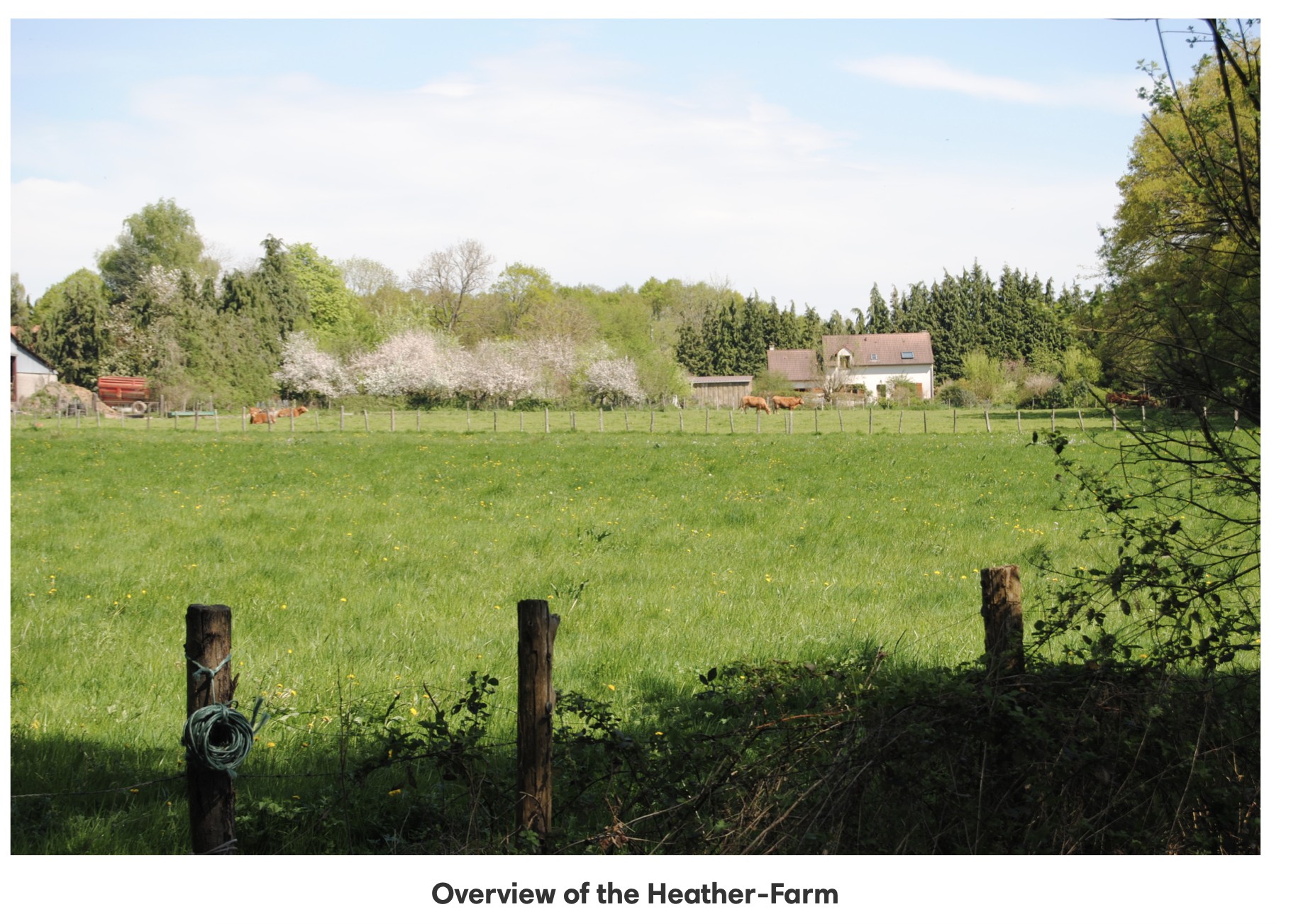 Screenshot 2025-04-03 at 12.00.32