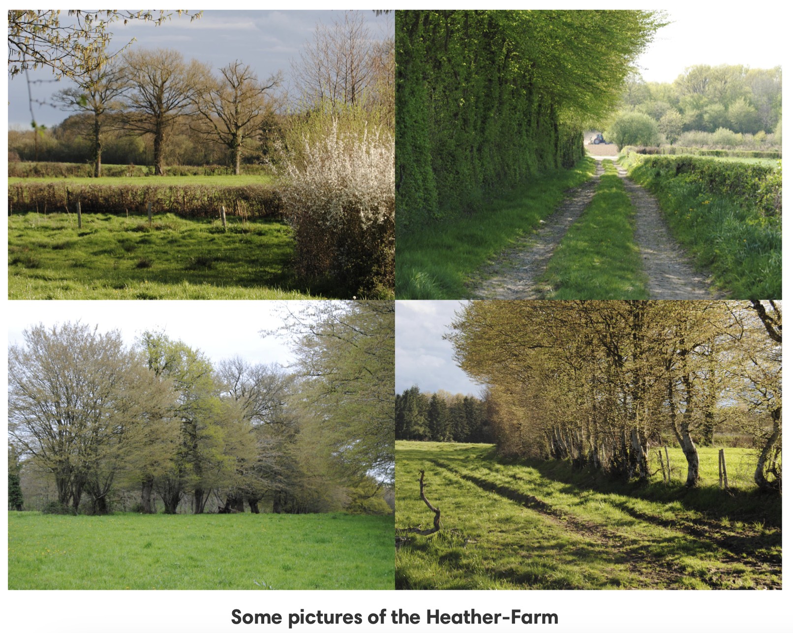 Screenshot 2025-04-03 at 12.00.48