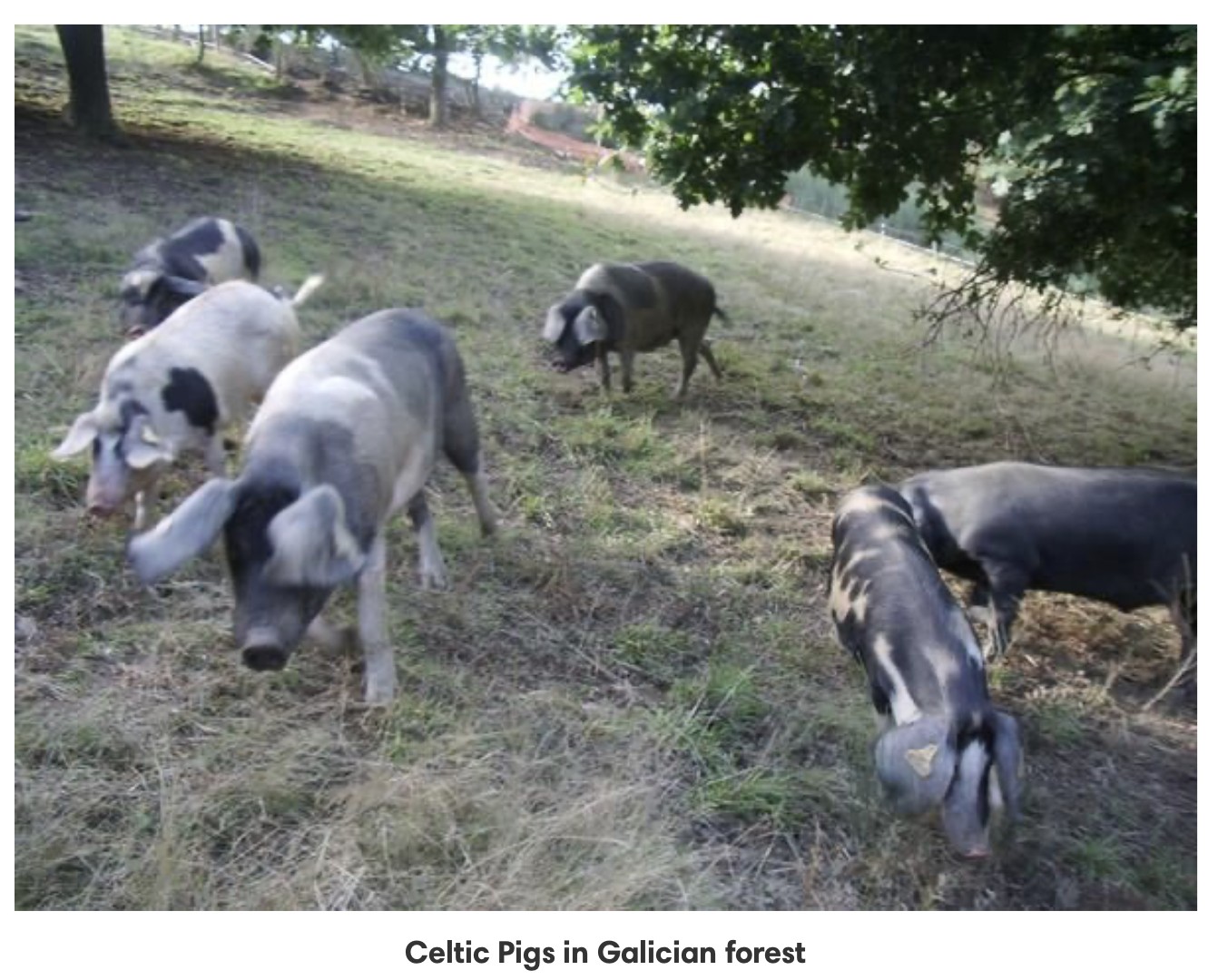 Screenshot 2025-04-03 at 12.04.24