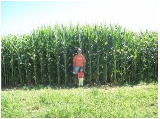 Screenshot 2025-04-03 at 12.08.13