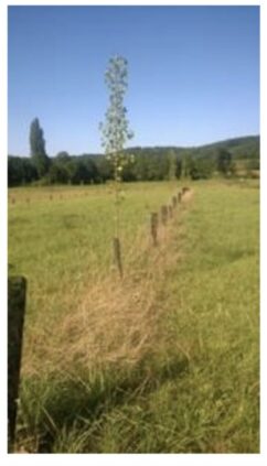 Screenshot 2025-04-03 at 12.08.33