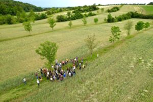 EURAF Congress 2024 EURAF Congress 2024