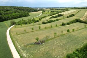 EURAF Congress 2024 EURAF Congress 2024