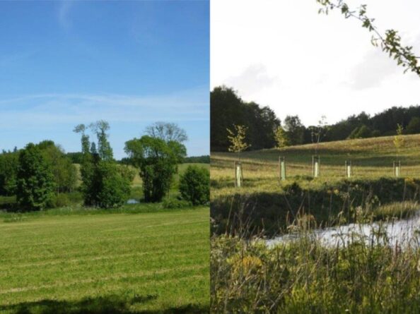 Buffer system established around marshy areas and water reservoirs