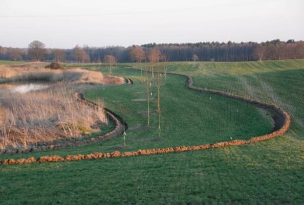 Buffer system established around marshy areas and water reservoirs