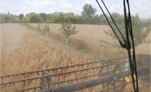 Ekrano kopija 2025-11-10 124353