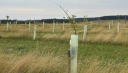 Ekrano kopija 2025-11-10 125813