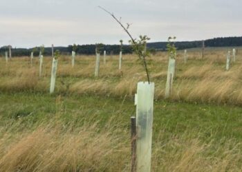 Ekrano kopija 2025-11-10 125813