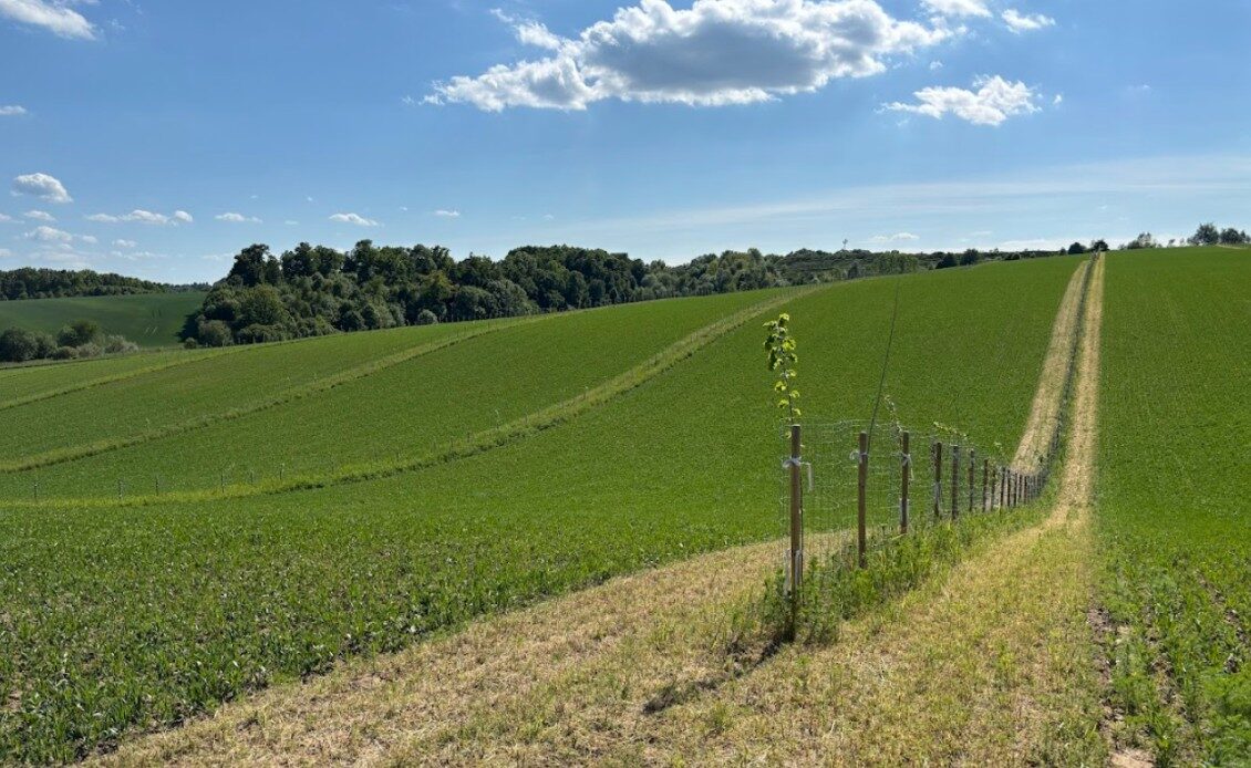 Ekrano kopija 2025-11-10 134828