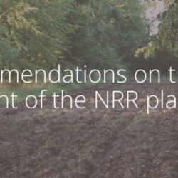 key allies in achieving the objectives of the Nature Restoration Regulation (3)